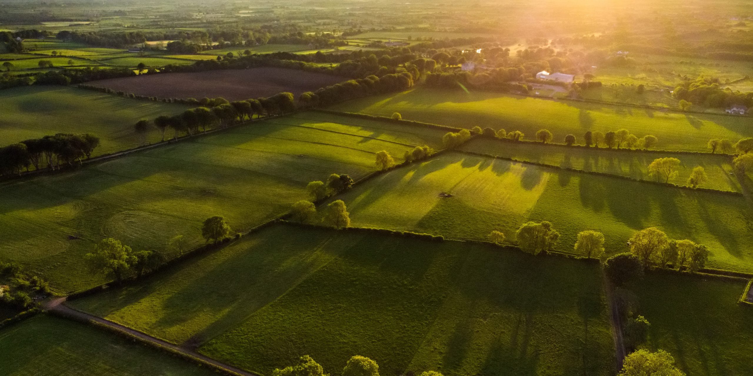 Ireland: new roadmap encourages production and adoption of biomethane Ireland: new roadmap encourages production and adoption of biomethane