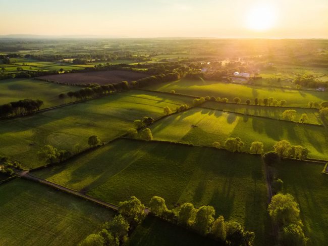 Ireland: new roadmap encourages production and adoption of biomethane Ireland: new roadmap encourages production and adoption of biomethane