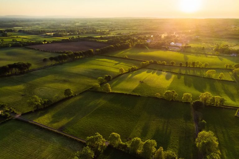 Ireland: new roadmap encourages production and adoption of biomethane Ireland: new roadmap encourages production and adoption of biomethane