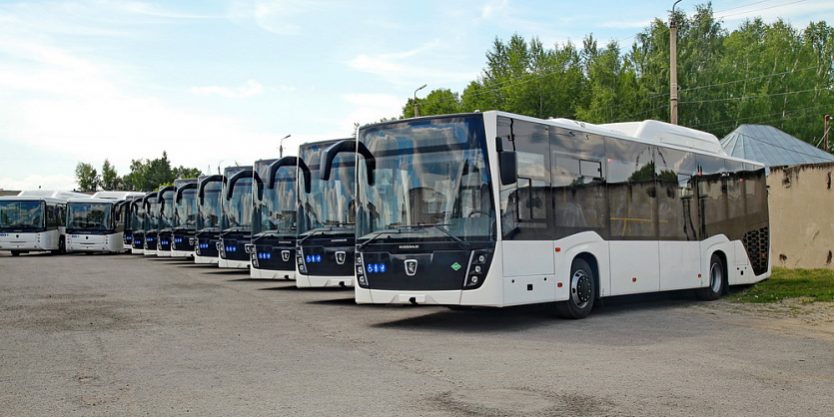KAMAZ delivered second batch of CNG NEFAZ buses to Siberian city KAMAZ delivered second batch of CNG NEFAZ buses to Siberian city