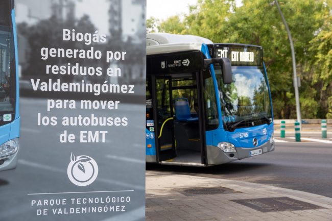 Madrid will move its buses with biomethane from the Valdemingómez Park Madrid will move its buses with biomethane from the Valdemingómez Park