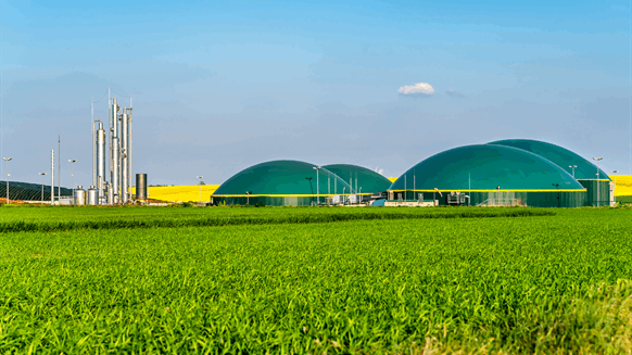 Potencial español de producción de biometano cubriría 45% de la demanda de gas Potencial español de producción de biometano cubriría 45% de la demanda de gas