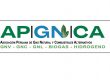 Se crea oficialmente la Asociación Peruana de Gas Natural y Combustibles Alternativos