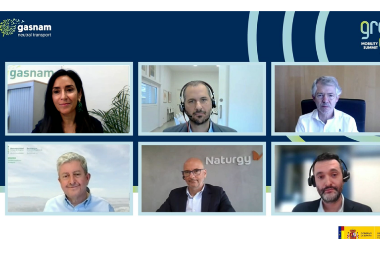 Biomethane, the real and immediate option to decarbonize transport in Spain Biomethane, the real and immediate option to decarbonize transport in Spain