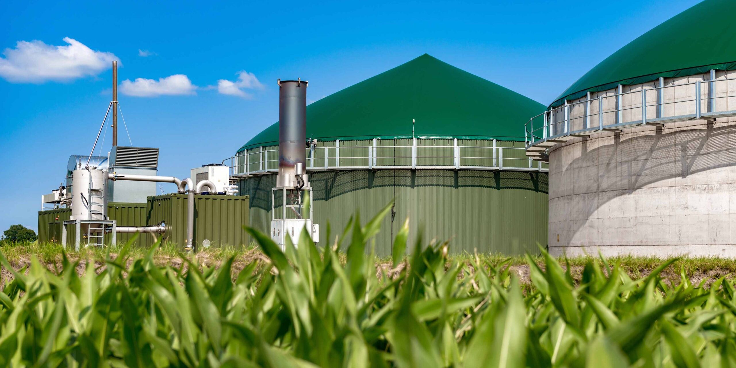 Biogas,Plant,Behind,Maize,Field